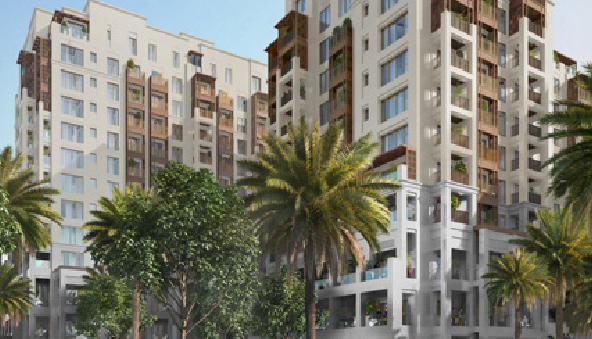 Orchid - Dubai